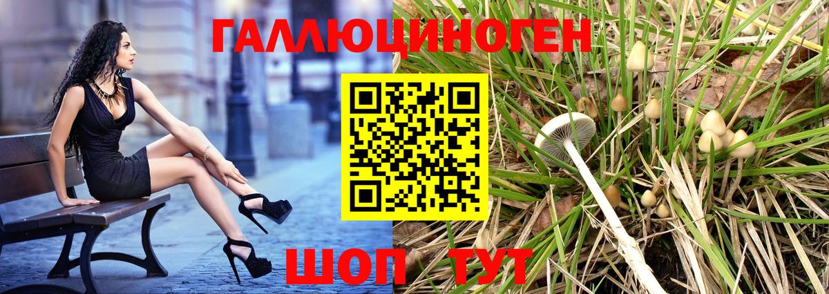Псилоцибиновые грибы Psilocybe Торжок