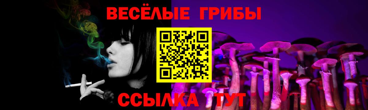 Псилоцибиновые грибы Cubensis  Вход с VPN  Торжок 